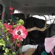 production of wild at heart 8