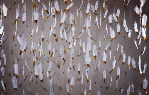 A room of 800 gold-dipped feathers