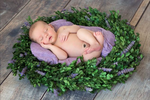 Lavender Newborn Prop
