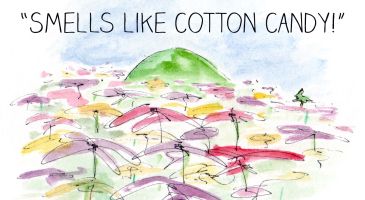 smellslikecottoncandy